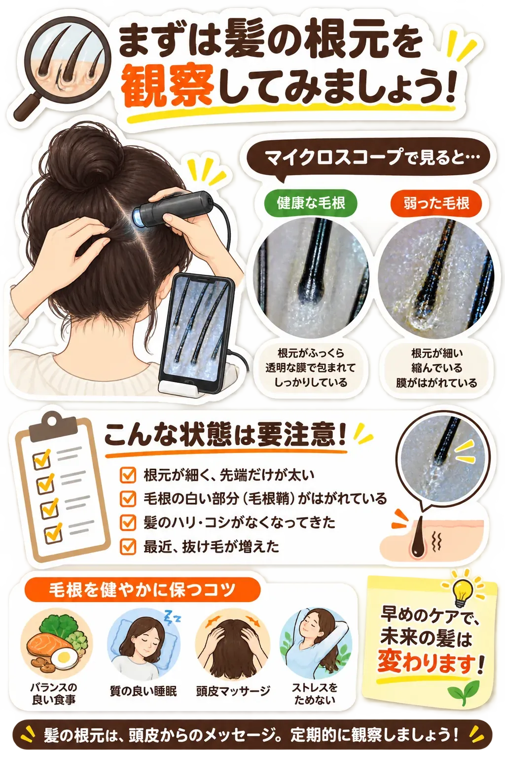 髪の根元を観察する様子と、マイクロスコープで見た健康な毛根・弱った毛根の比較を示す図。根元が細い、毛根鞘がはがれている、髪のハリ・コシがない、抜け毛が増えた状態への注意と、食事・睡眠・頭皮マッサージ・ストレスケアを描いている。